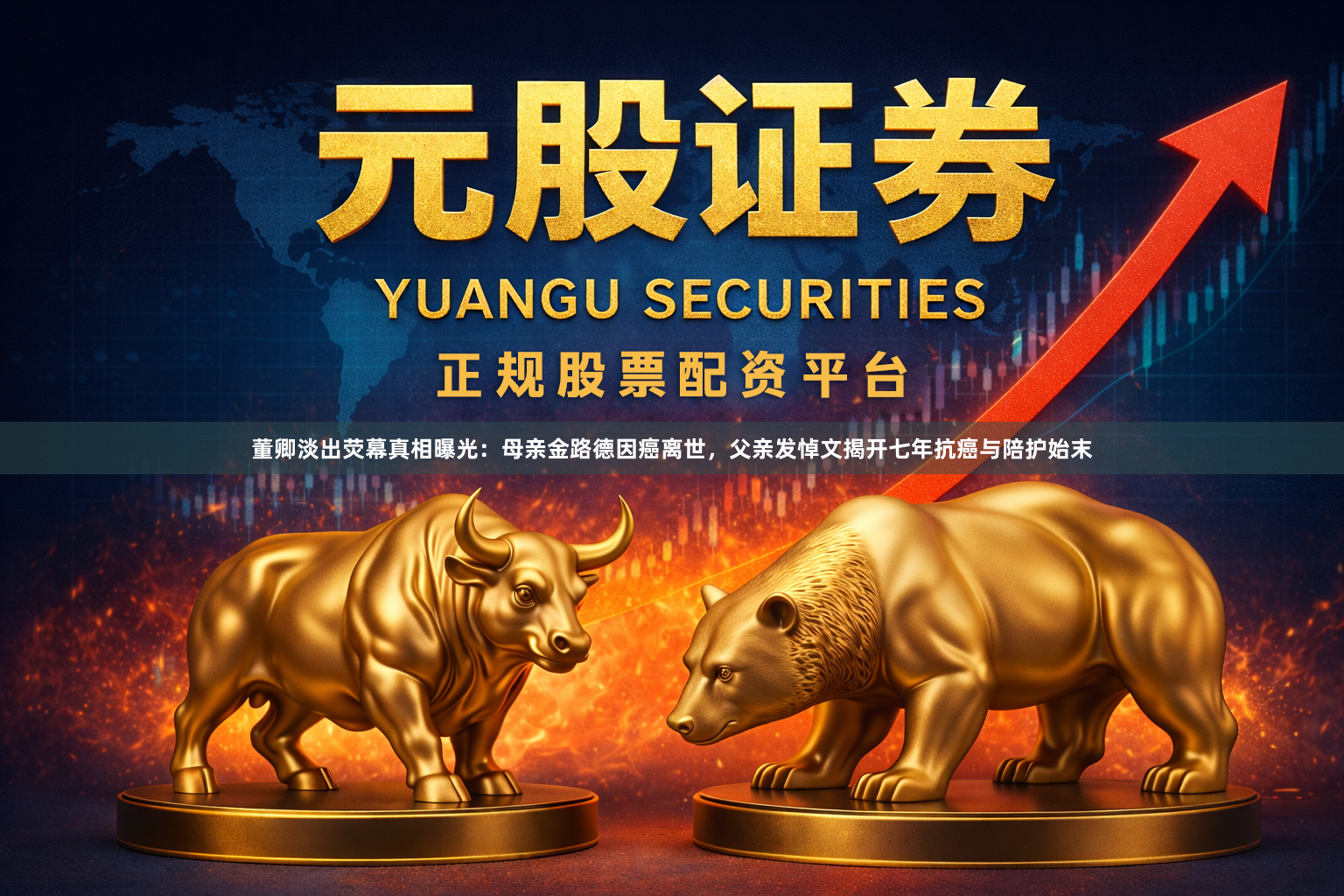 董卿淡出荧幕真相曝光：母亲金路德因癌离世，父亲发悼文揭开七年抗癌与陪护始末